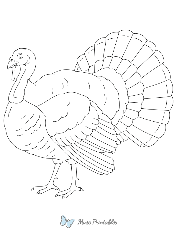 Realistic Turkey Outline Craft Template