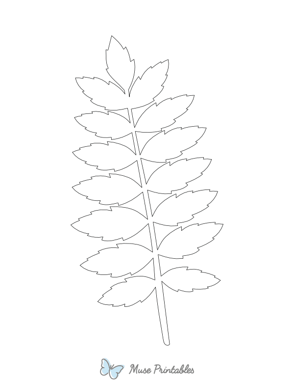 Rowan Leaf Shape Outline Craft Template