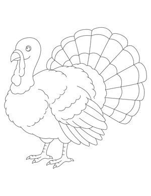 Turkey Outline Craft Template