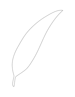 Willow Leaf Shape Outline Craft Template Printable