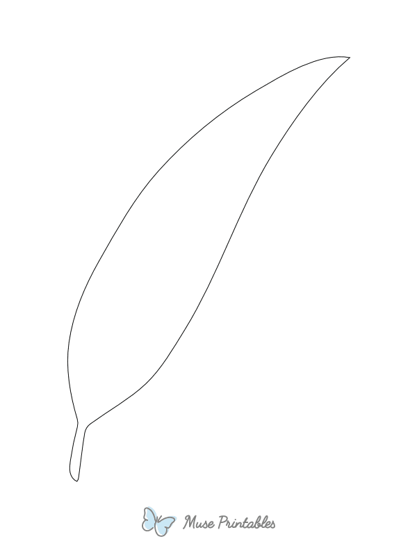Willow Leaf Shape Outline Craft Template