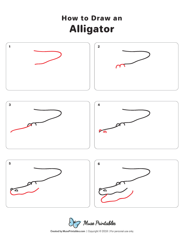 How to Draw an Alligator - Printable Tutorial
