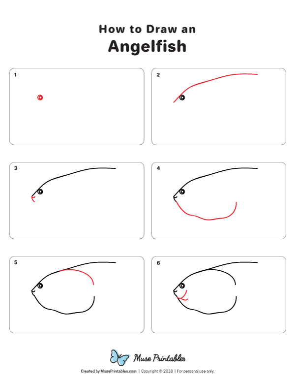 How to Draw an Angelfish - Printable Tutorial