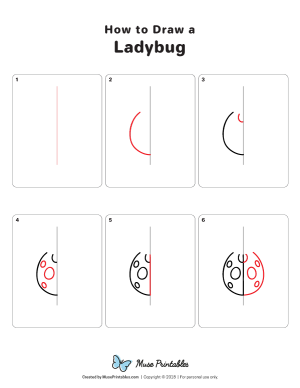 How to Draw a Ladybug - Printable Tutorial