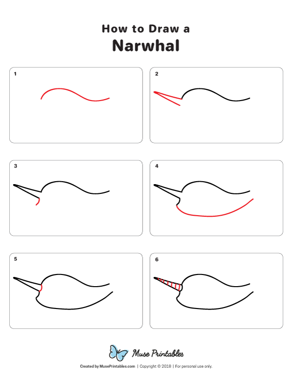 How to Draw a Narwhal - Printable Tutorial