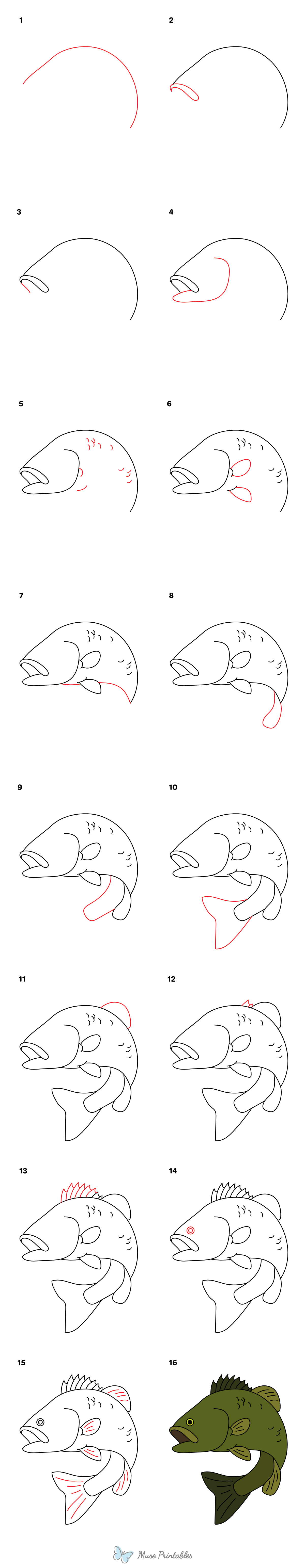 How to Draw a Bass Fish - Printable Tutorial