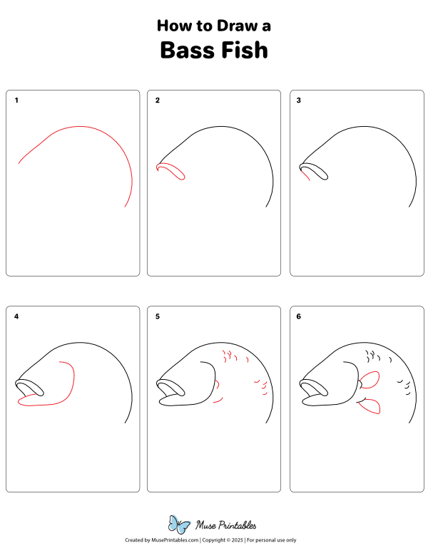 How to Draw a Bass Fish - Printable Tutorial
