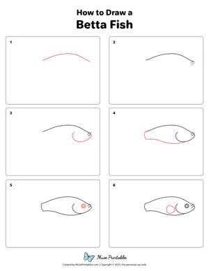 How to Draw a Betta Fish