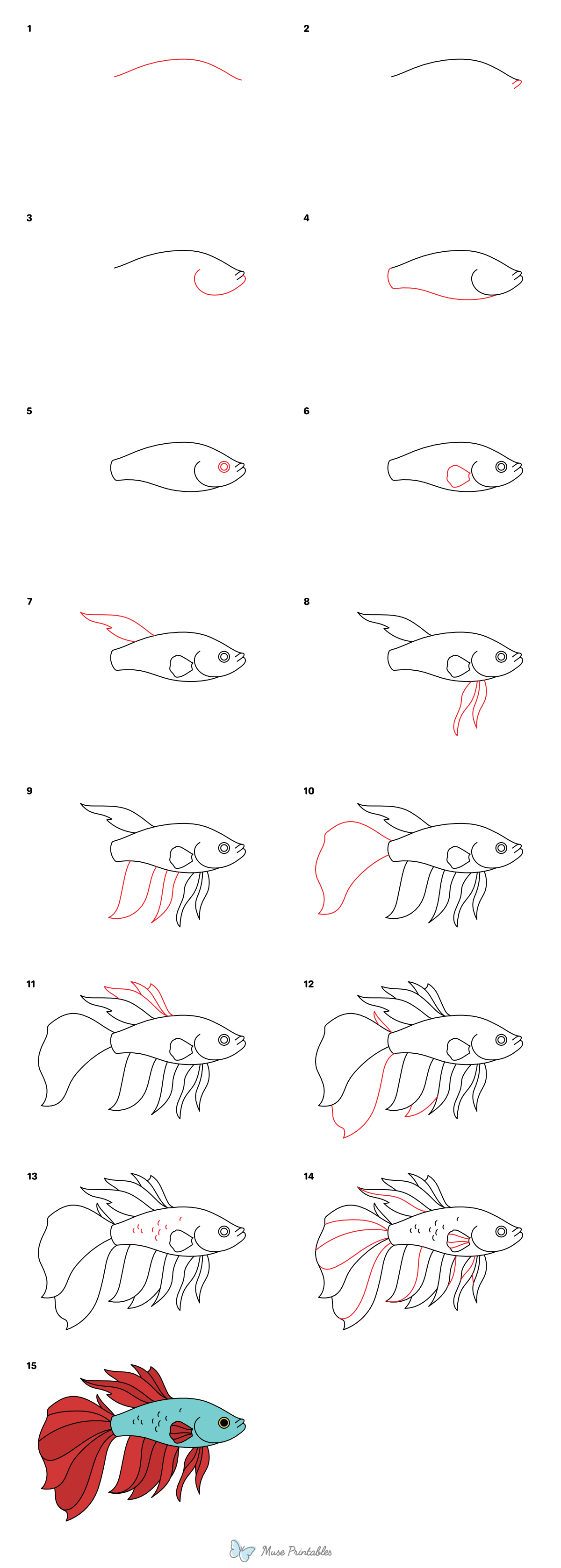 How to Draw a Betta Fish - Printable Tutorial