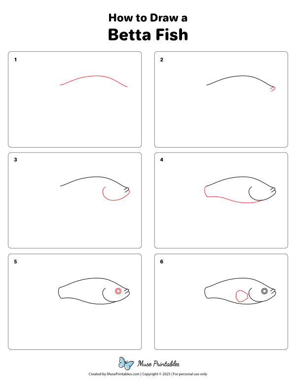 How to Draw a Betta Fish - Printable Tutorial