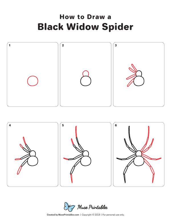 How to Draw a Black Widow Spider - Printable Tutorial