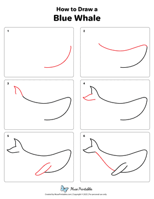 How to Draw a Blue Whale