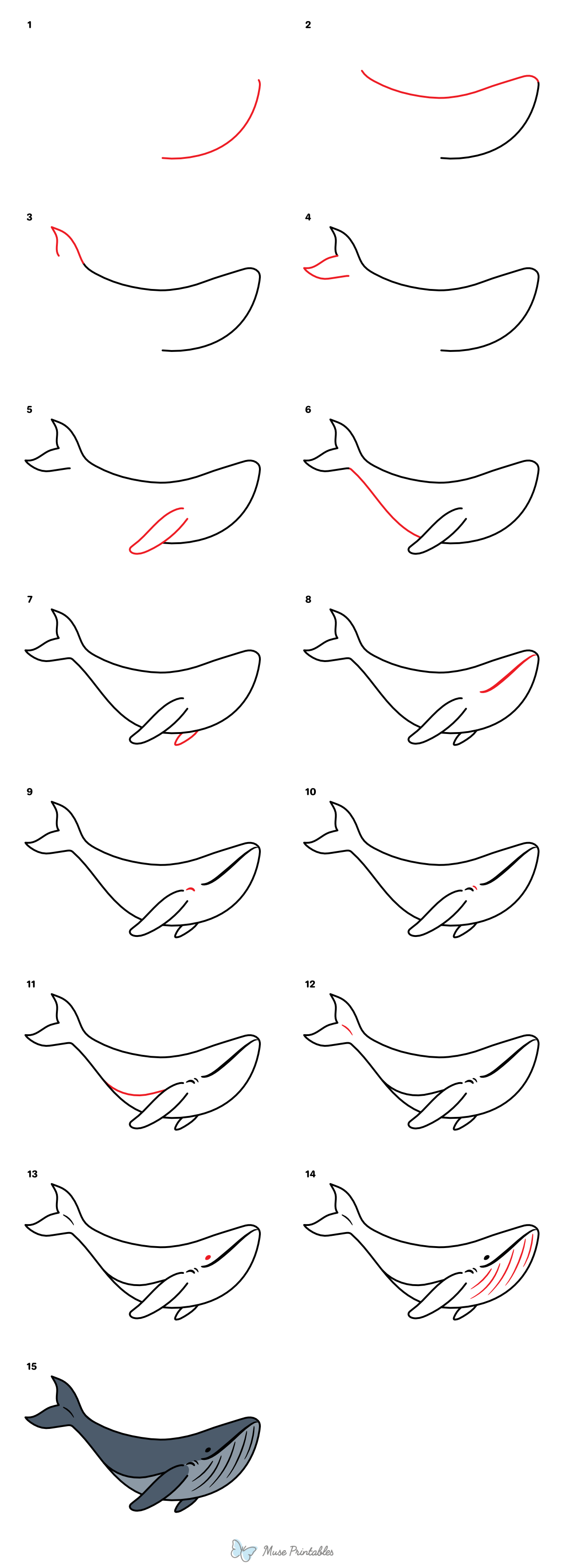 How to Draw a Blue Whale - Printable Tutorial