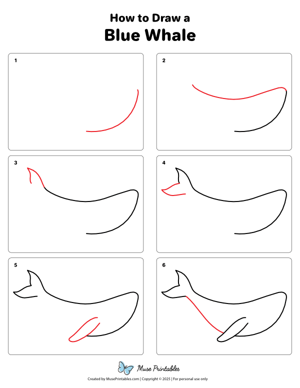 How to Draw a Blue Whale - Printable Tutorial
