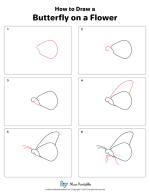 How to Draw a Butterfly on a Flower
