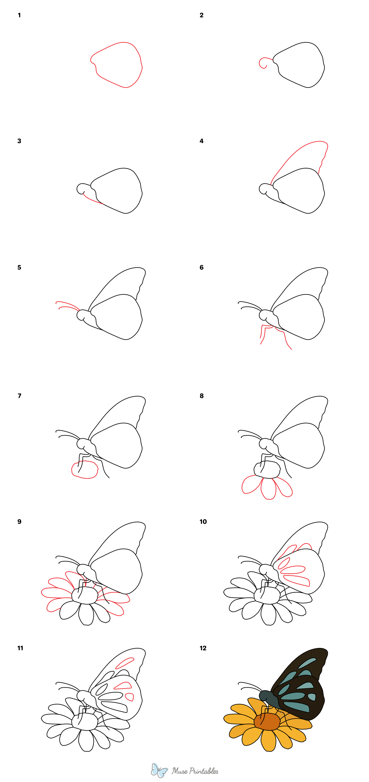 How to Draw a Butterfly on a Flower - Printable Tutorial