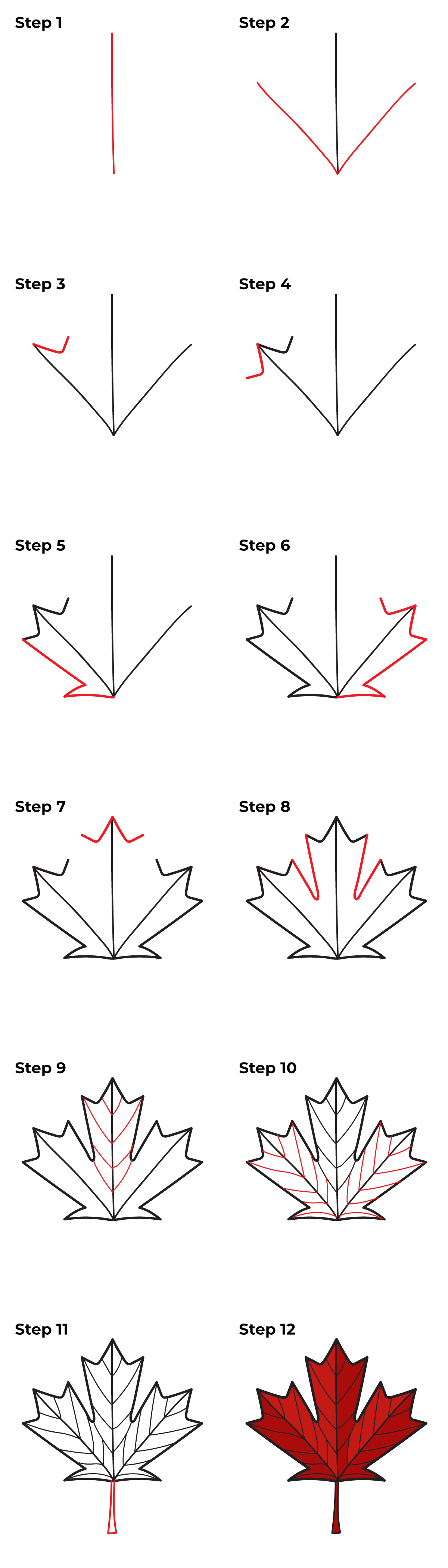 HOW TO DRAW A MAPLE LEAF Step by Step Pencil Drawing Tutorial. Realistic  leaf guided drawing easy - YouTube