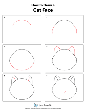 How to Draw a Cat Face