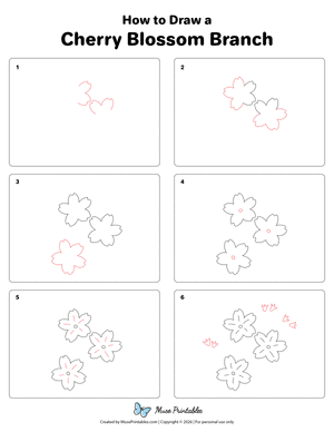 Cherry Blossom Branch Drawing Tutorial