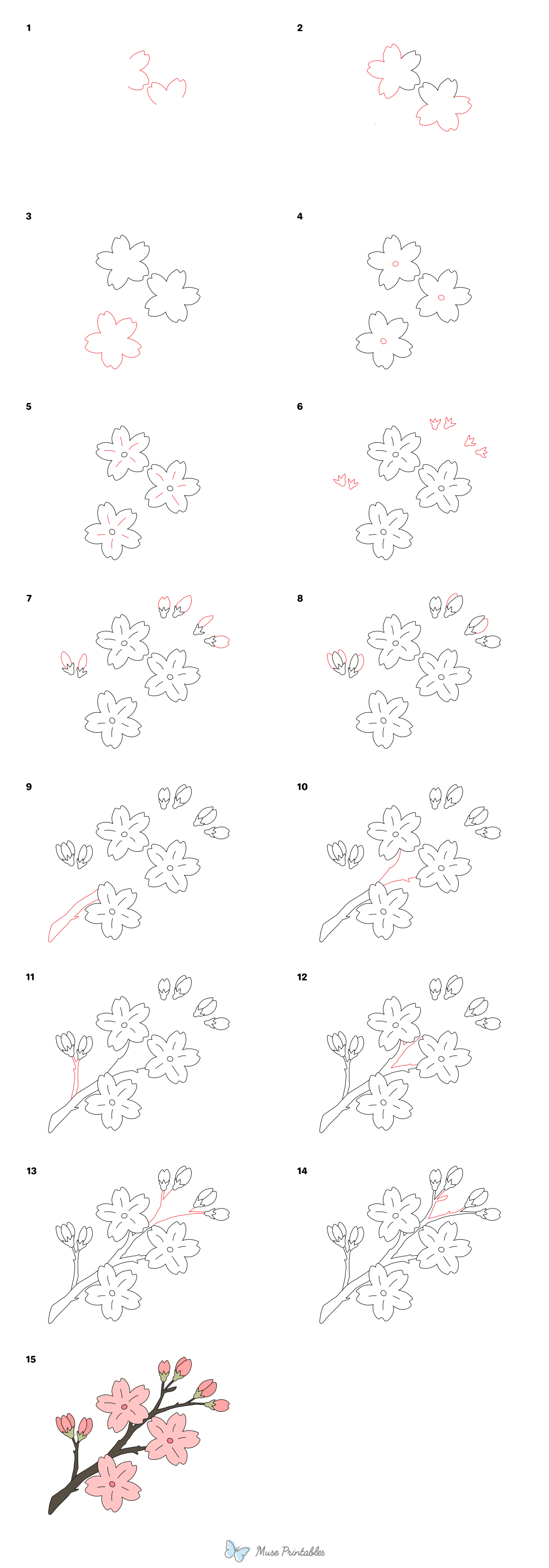 How to Draw a Cherry Blossom Branch - Printable Tutorial