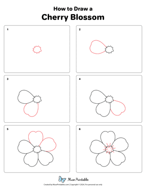 Cherry Blossom Drawing Tutorial