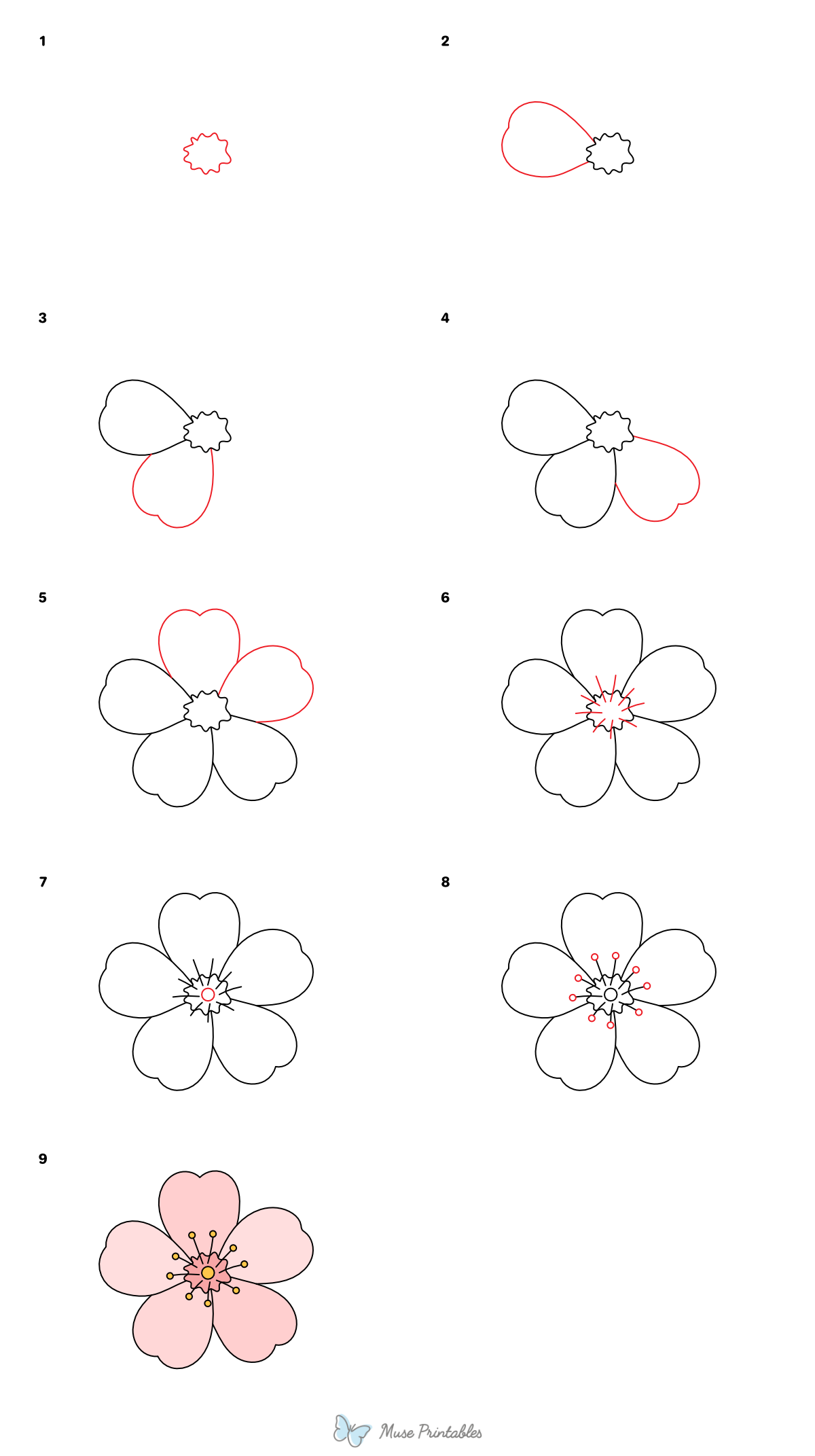 How to Draw a Cherry Blossom - Printable Tutorial