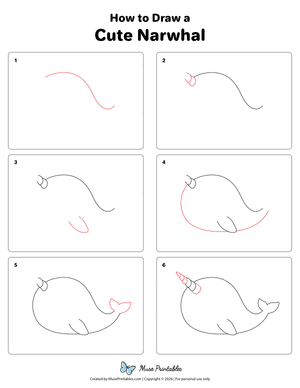 Cute Narwhal Drawing Tutorial