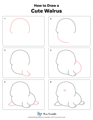 How to Draw a Cute Walrus
