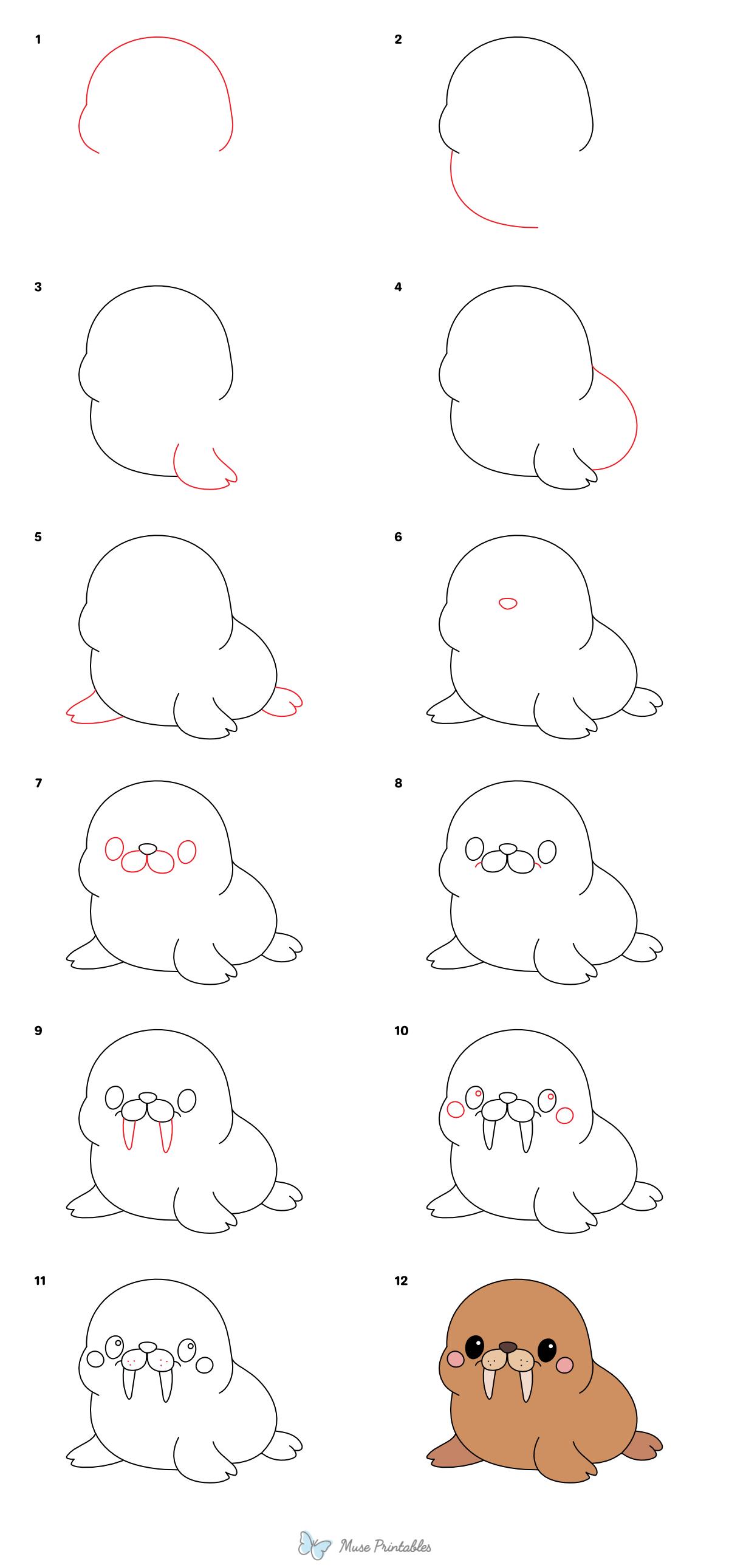 How to Draw a Cute Walrus - Printable Tutorial