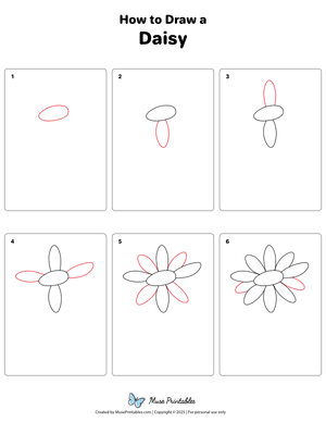 How to Draw a Daisy