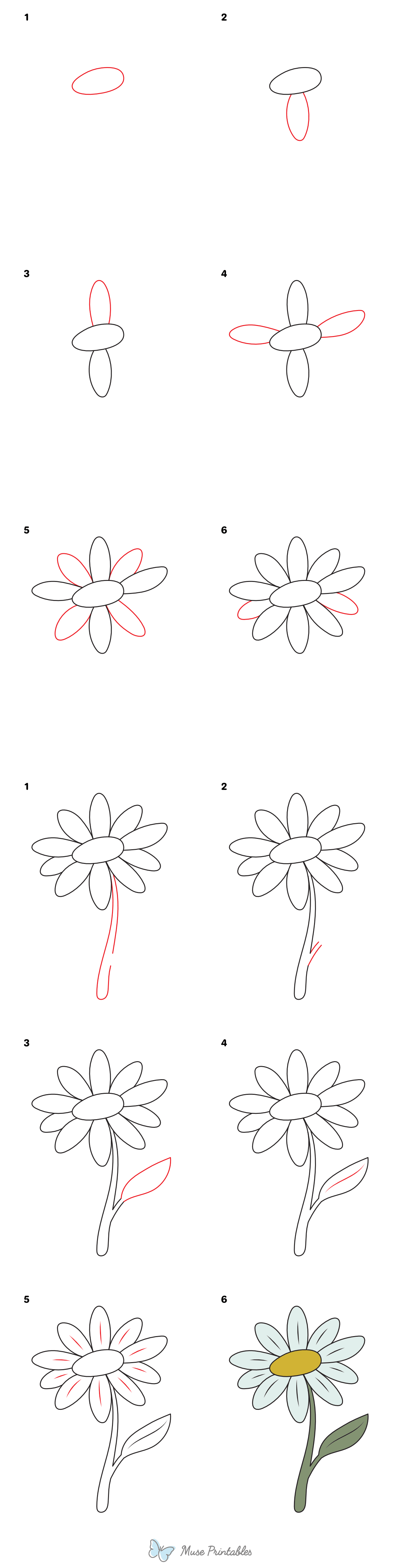 How to Draw a Daisy - Printable Tutorial