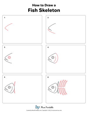 How to Draw a Fish Skeleton