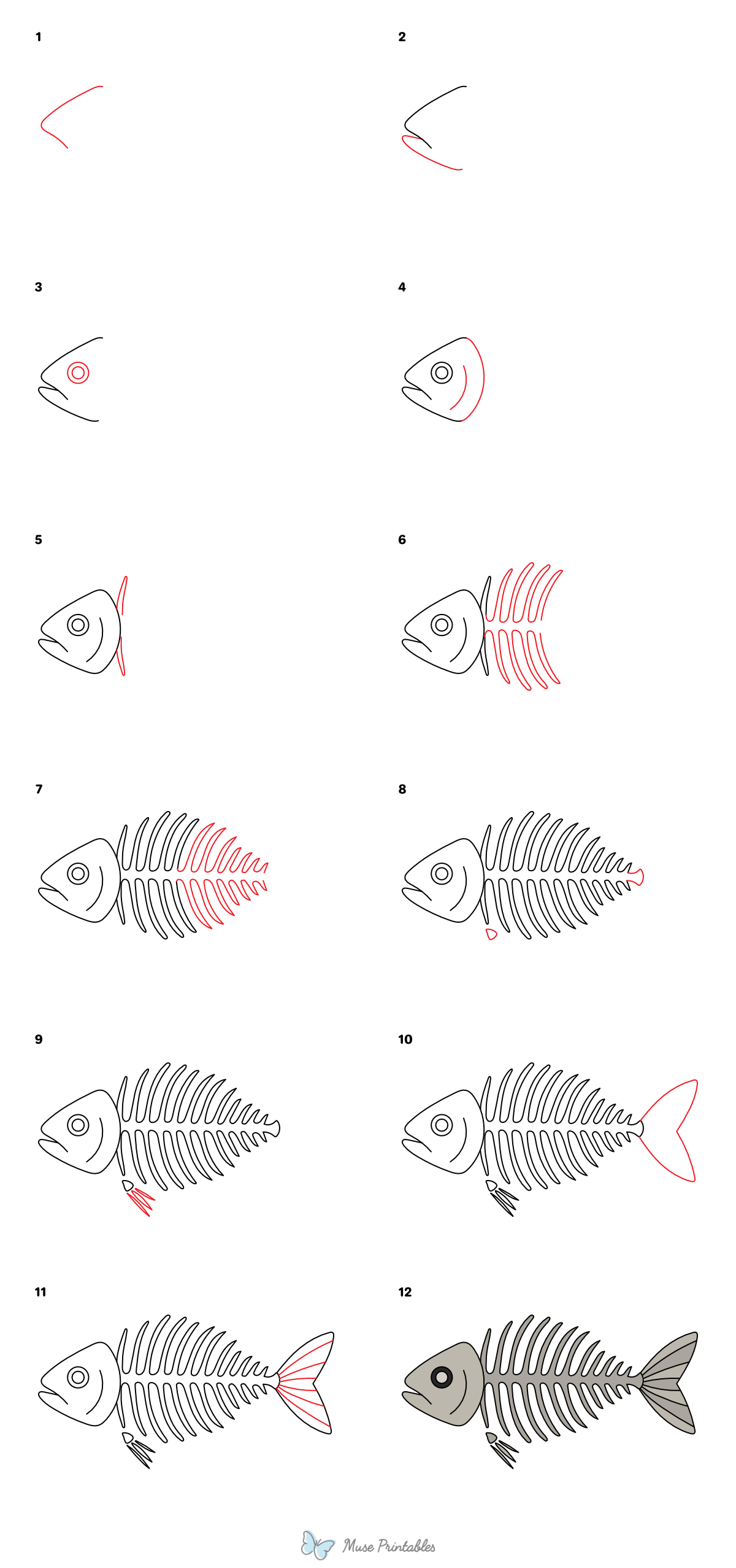 How to Draw a Fish Skeleton - Printable Tutorial