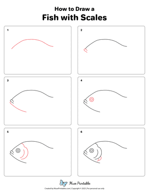 How to Draw a Fish With Scales
