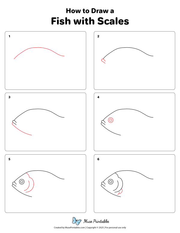 How to Draw a Fish With Scales - Printable Tutorial