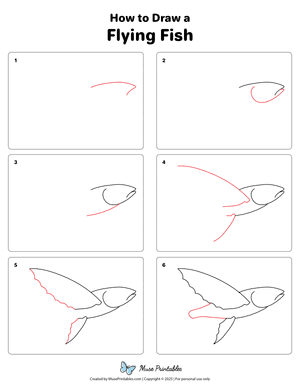How to Draw a Flying Fish