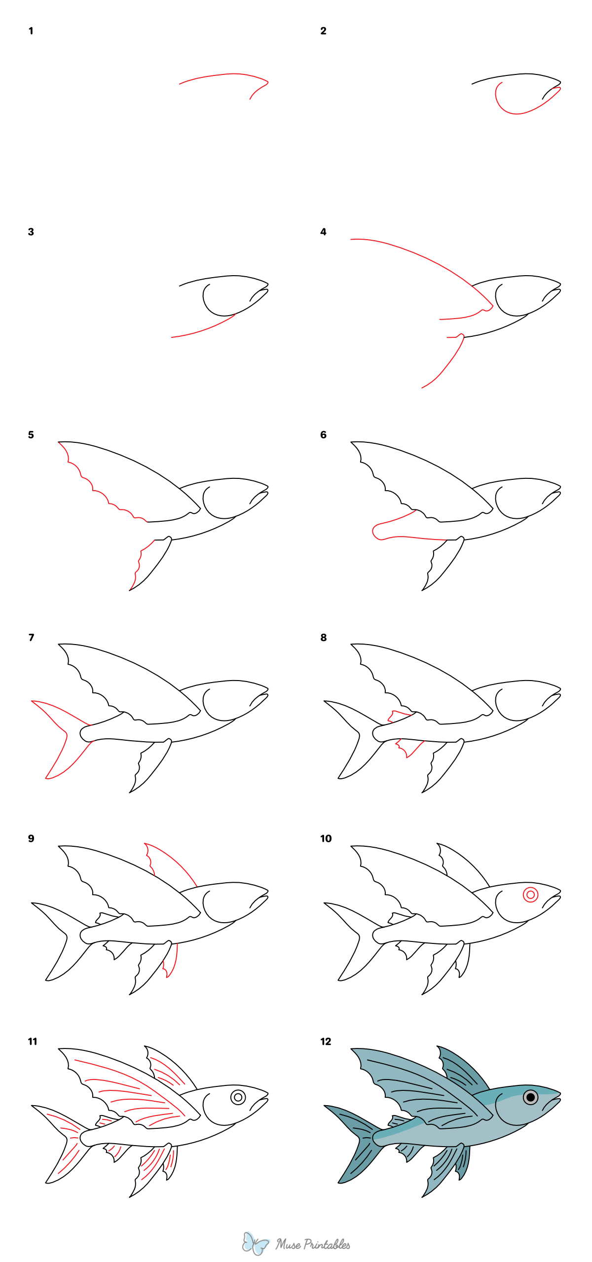 How to Draw a Flying Fish - Printable Tutorial