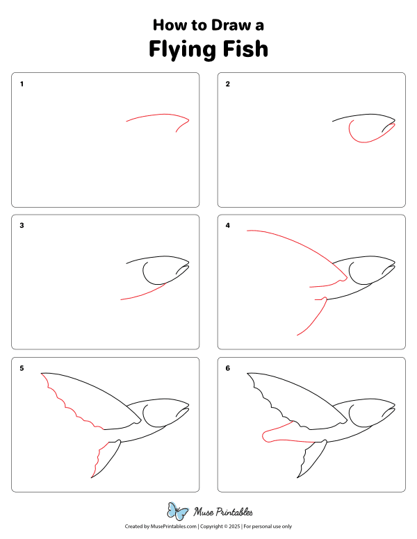 How to Draw a Flying Fish - Printable Tutorial