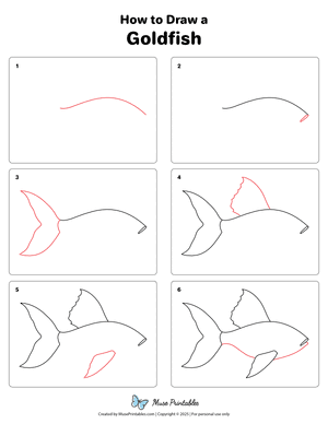 How to Draw a Goldfish