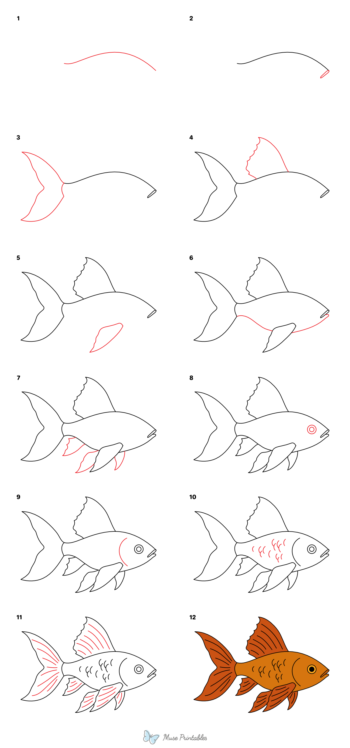 How to Draw a Goldfish - Printable Tutorial
