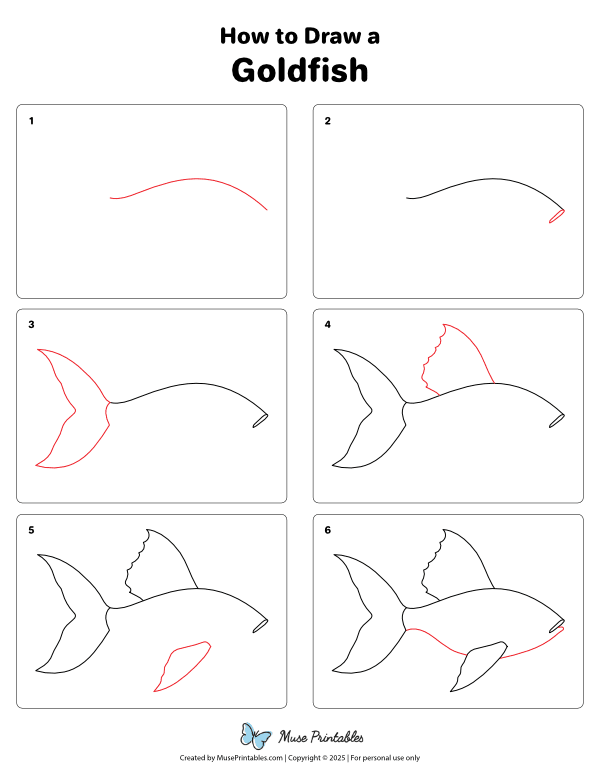 How to Draw a Goldfish - Printable Tutorial