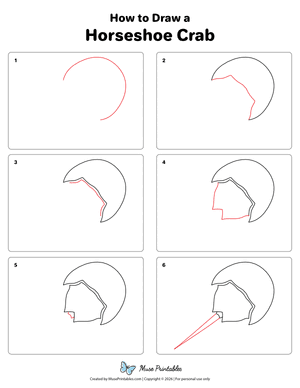 How to Draw a Horseshoe Crab