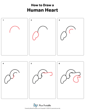 How to Draw a Human Heart