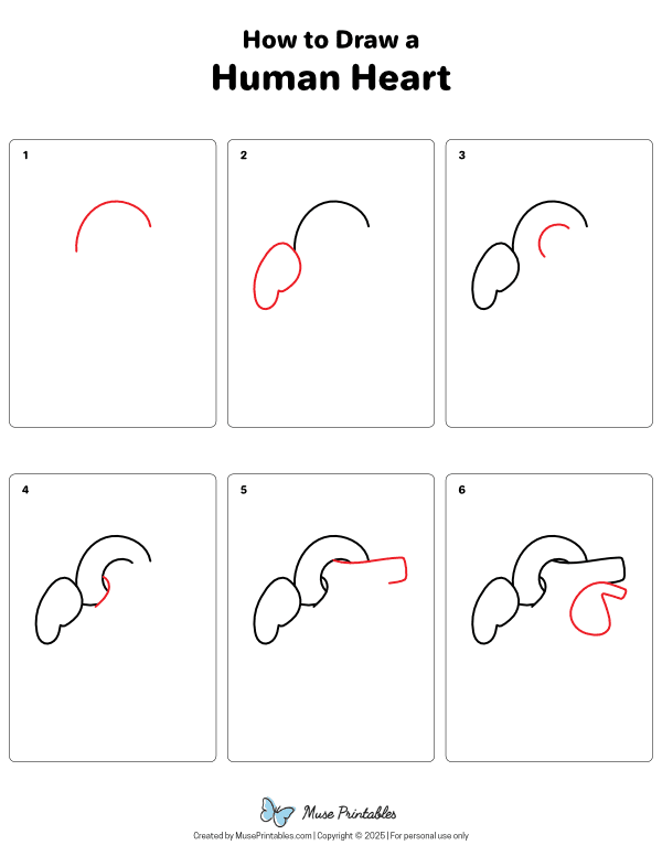 How to Draw a Human Heart - Printable Tutorial