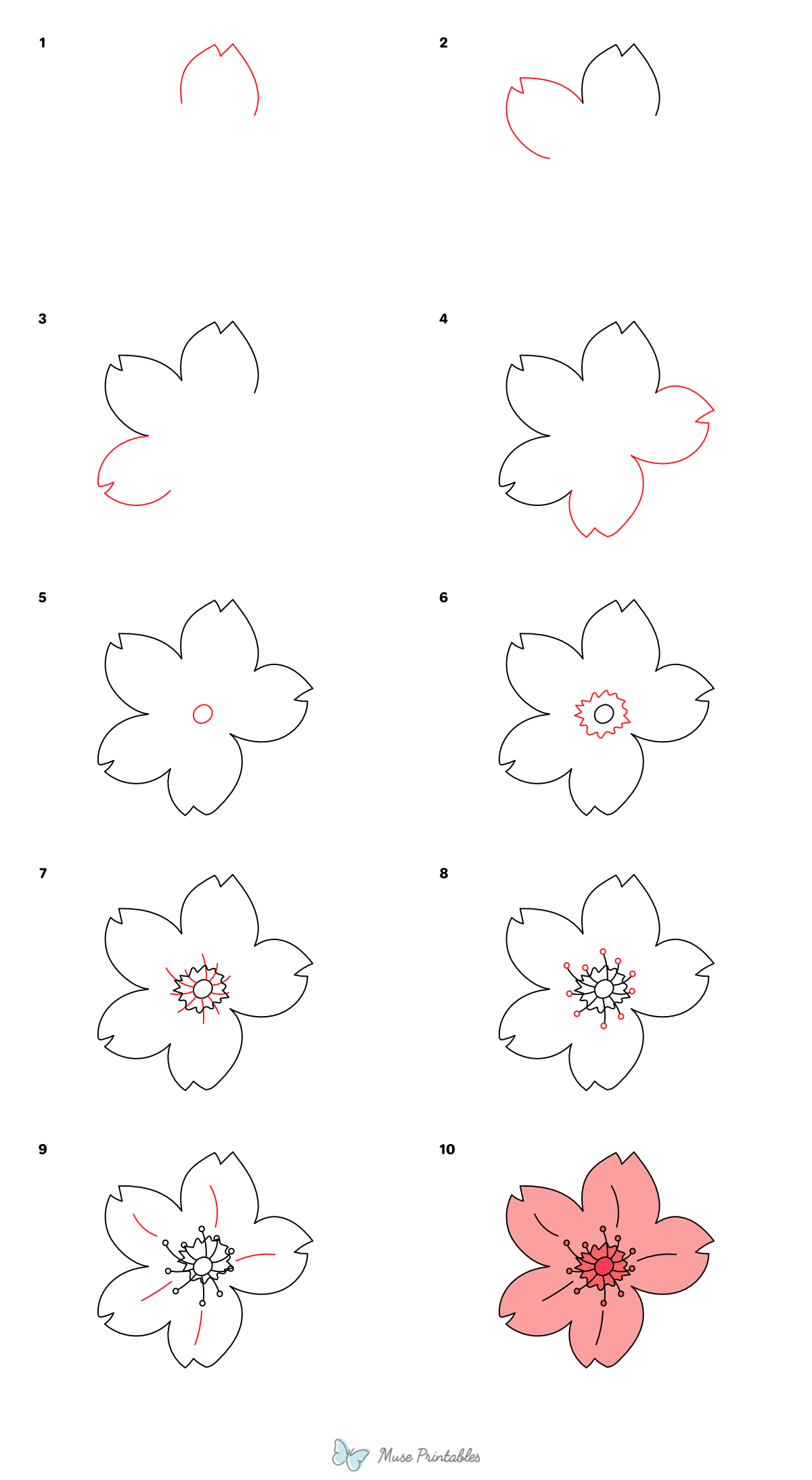 How to Draw a Japanese Cherry Blossom - Printable Tutorial