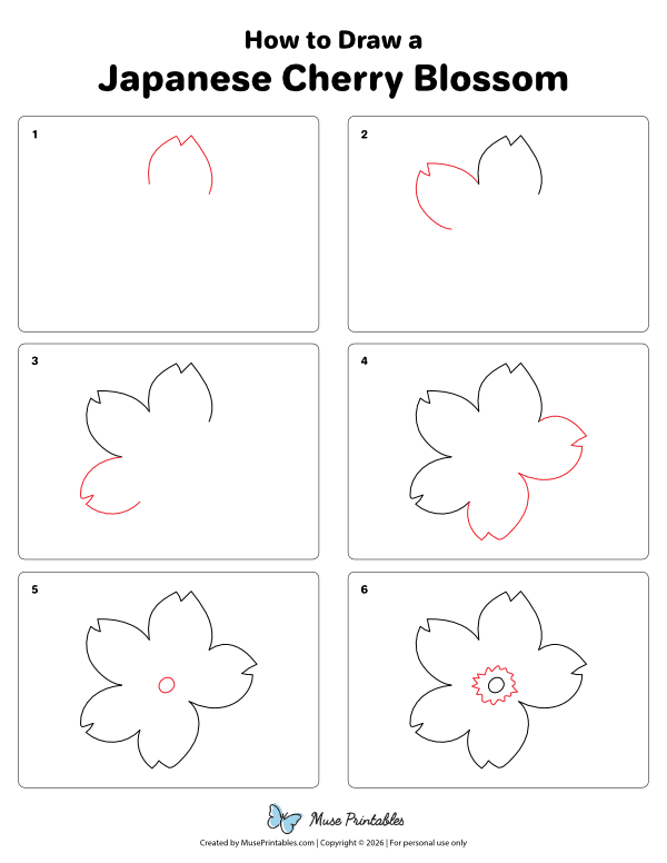 How to Draw a Japanese Cherry Blossom - Printable Tutorial