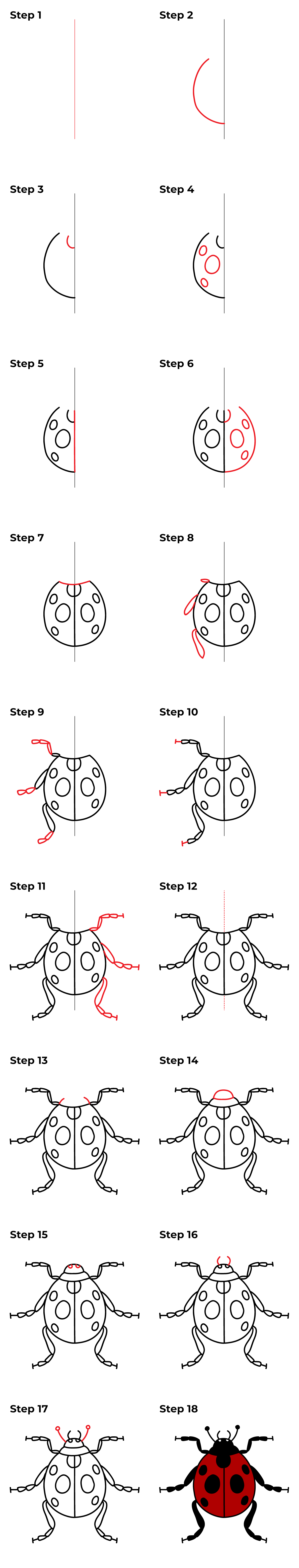How to Draw a Ladybug - Printable Tutorial