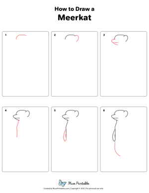 How to Draw a Meerkat