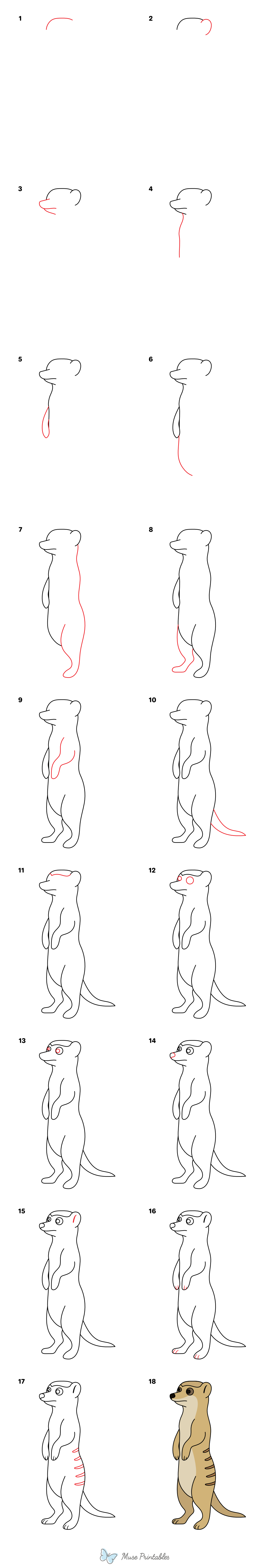 How to Draw a Meerkat - Printable Tutorial
