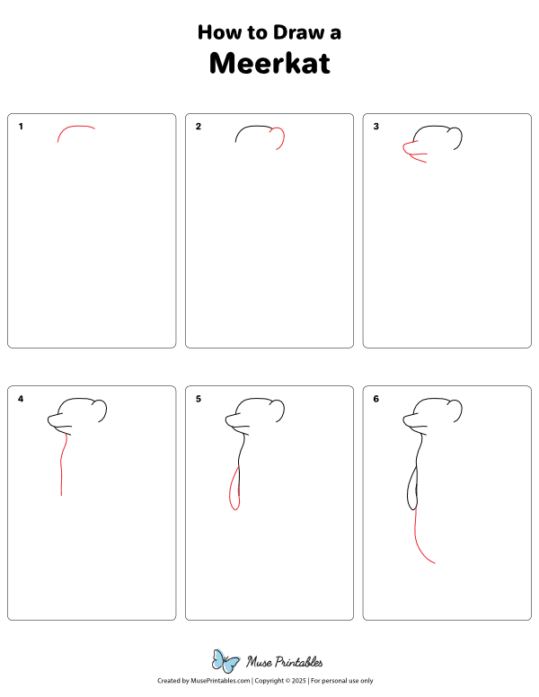 How to Draw a Meerkat - Printable Tutorial